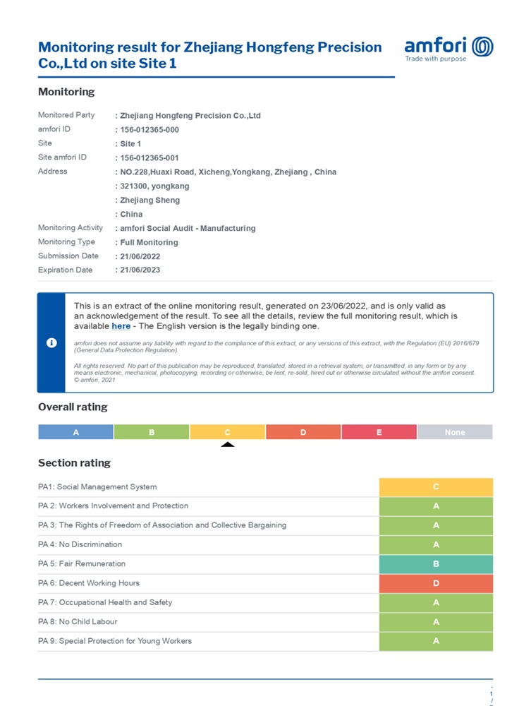 2022 BSCI Hongfeng Resumo Relatório de Auditoria